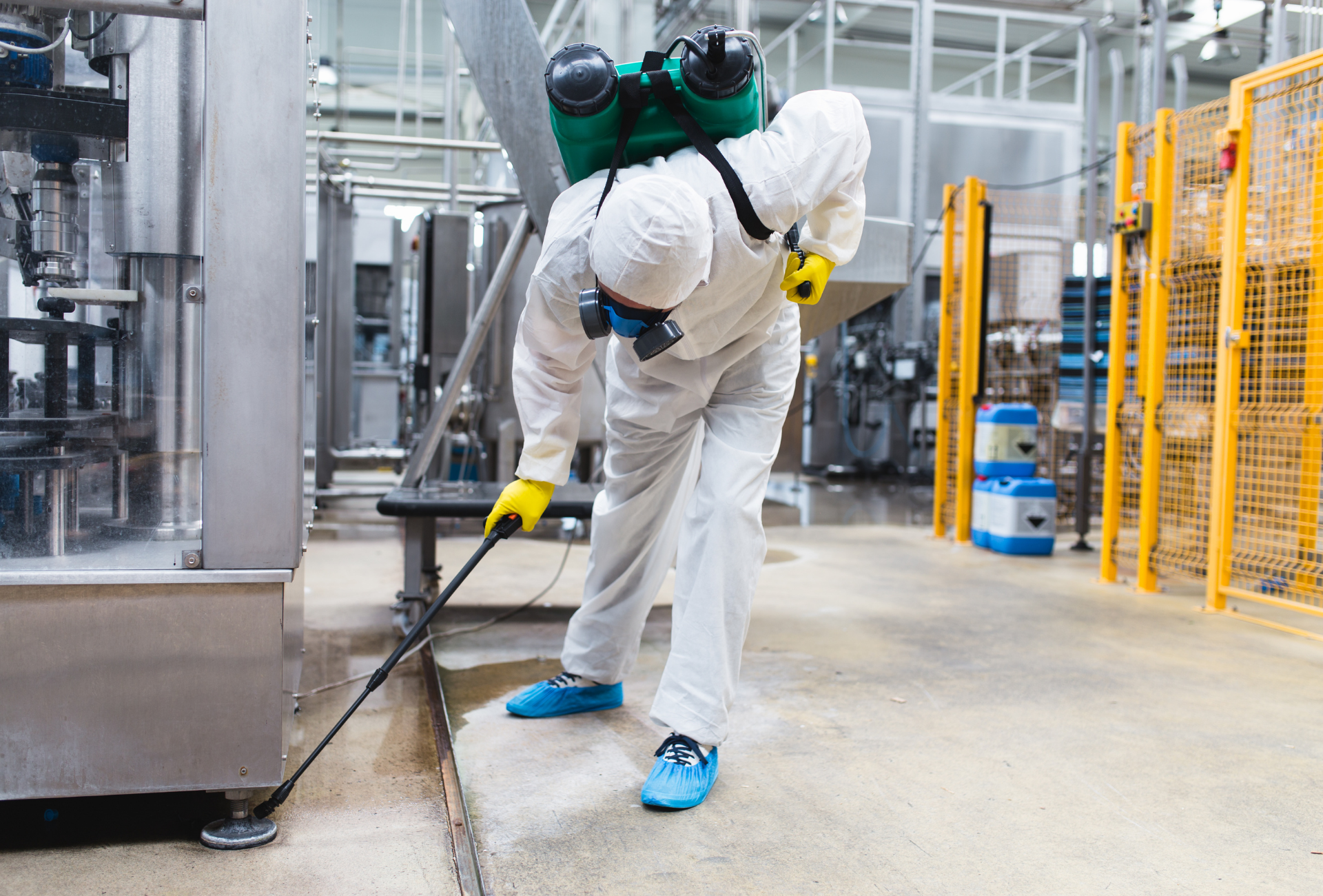 Inspección post-verano en Fuenlabrada: la clave para evitar plagas en otoño