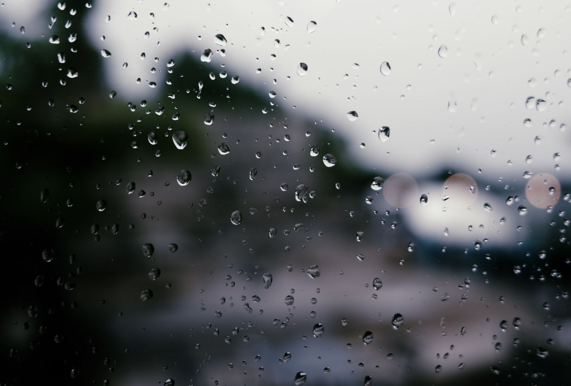 Fuenlabrada tras las lluvias: por qué están aumentando las plagas en viviendas y comunidades